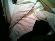 duvet