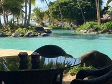 Laucala