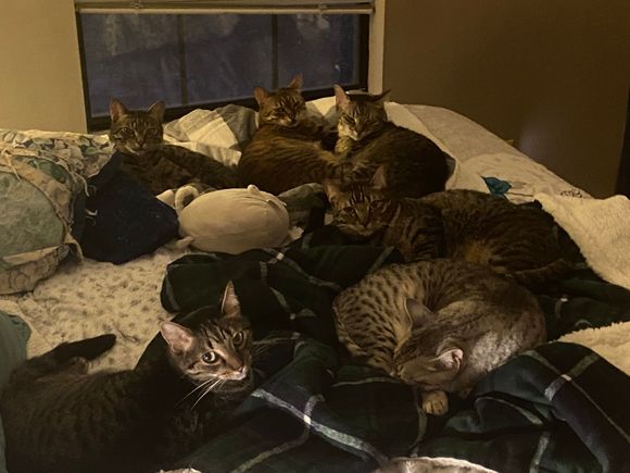 Count the pile.