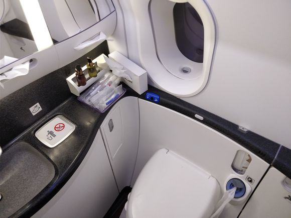 QR Business class lavatories on the 787-800 Dreamliner