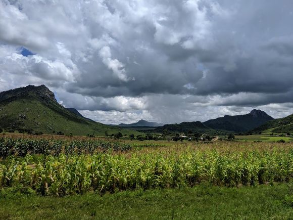 Maize and mountains. 