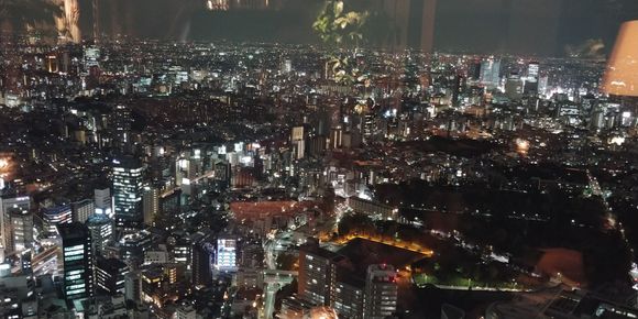 View from the lounge