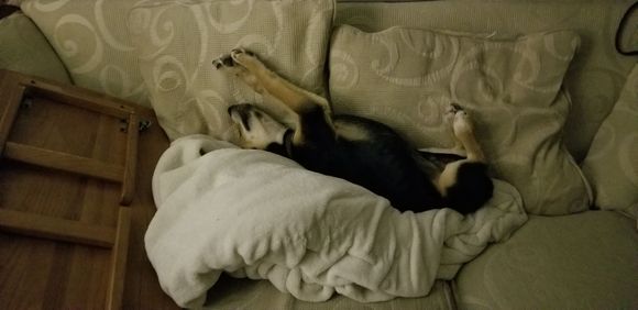 First evening after said park