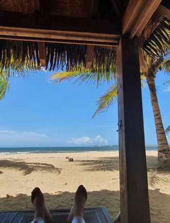 Palapa #13
