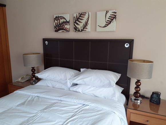 Queen Bed ( Comfortable enough)