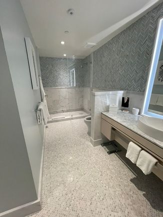 Room 218 bathroom