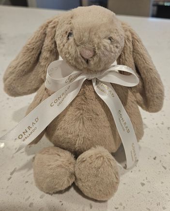 Conrad Orlando Bunny 🐰 