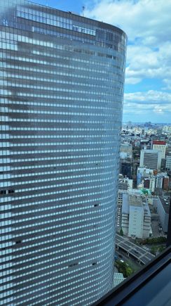 View to the right on a sunny day. I would think that some rooms towards the end of the corridor would see the tokyo skytree as you can see it at one end of the 29th floor pool
