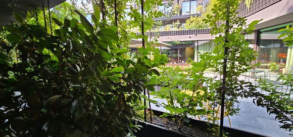Balcony view looking into the restaurant