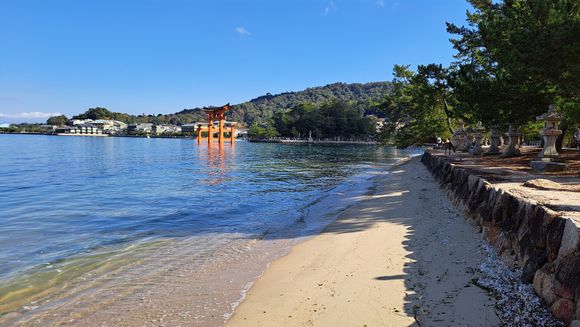 Some beautiful weather so went to Miyajima island by JR train/ferry ( arrived just after high tide ) and beautiful to just relax and see the gate as the tide went out and getting onto the sand ( some almost like chinese dragon boats with tourists and guides rowed through the gate at high tide). Deer on the edge of the wall