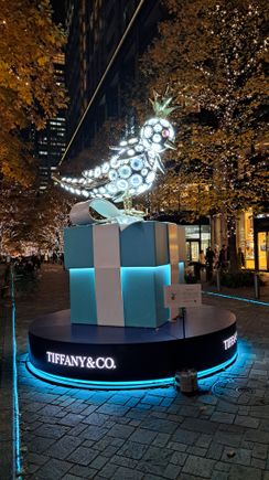 The Tiffany & co display