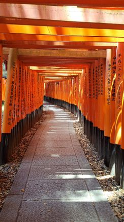 Still managed to get some nice torrii gate photos with no one in them