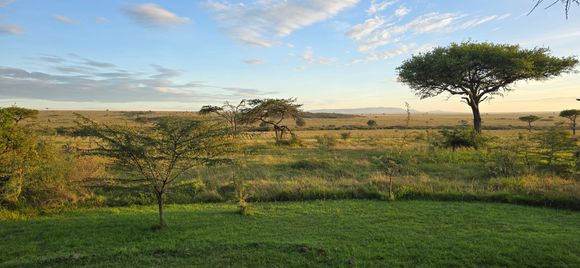 Naboisho Camp, Mara Naboisho Conservancy, Kenya