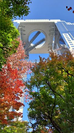 Looking up at the Umeda sky building from the garden. Some very nice colour contrasts