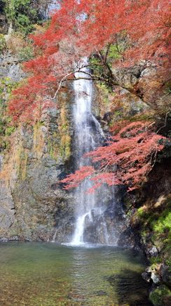 The falls. It was partly cloudy but got a sunny spell at the falls ( 12 noon)