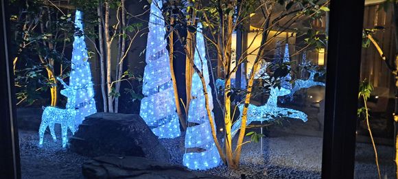 Christmas decorations in the garden beside the lobby. Impressive though the reflections from the lobby prevented a better  quality photo