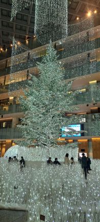 The christmas tree in the Kitte building ( now shopping centre) just across the road from the Tokyo Station Marunouchi south entrance. The 6th floor has a very nice roof garden with views of Tokyo station and the plaza ( photos tomorrow)