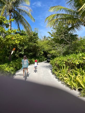 No cars, just bikes and golf carts 