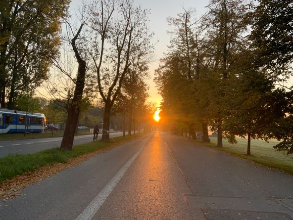 Aleja 3 Maja