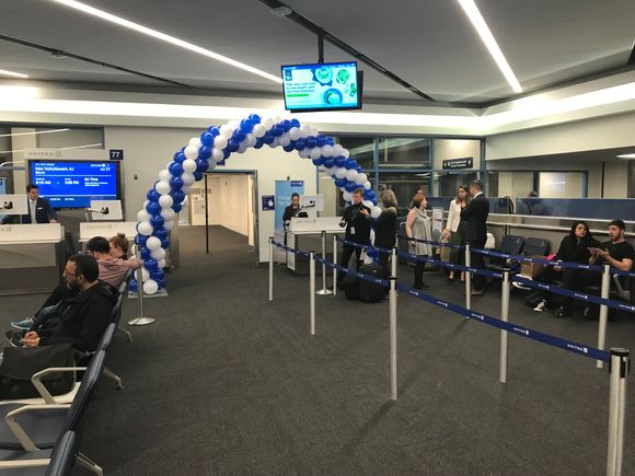 Balloon arch