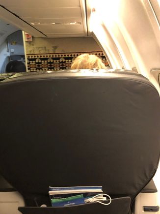 Cabin view from 3F