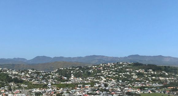 Farewell Wellington ..