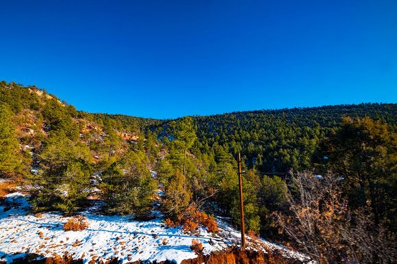 Afternoon sun casting a beautiful light on the landscape of the Carson National Forest. 