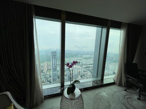 View from Bed