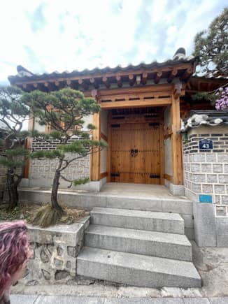 Hanok, classical Korean house. I must admit they are visually pleasant with a mix of brick walls, wooden entrance doors, and short trees 
