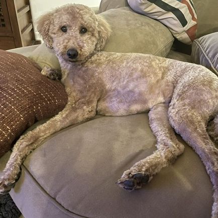Day after the spa