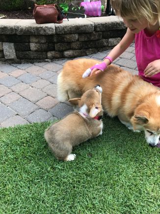 When Dylan was little. And Helen