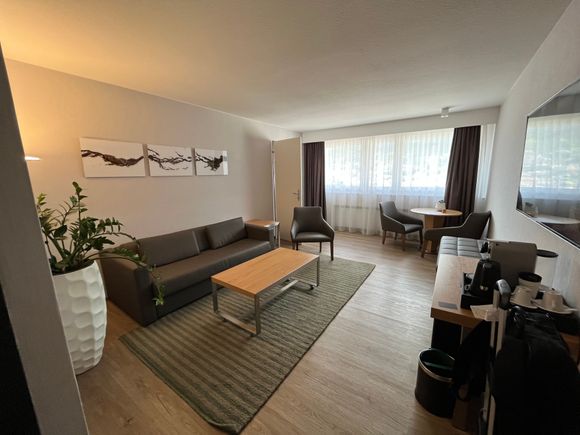 Executive Suite Living Room (with half bath not pictured)