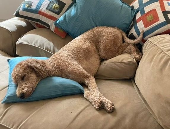 It takes some work to get the pillows and cushions arranged just so