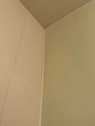 Mildew in shower