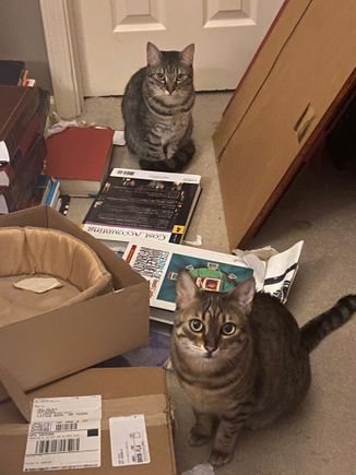 Like mother, like daughter. “Hand over the treats and nobody gets hurt.”