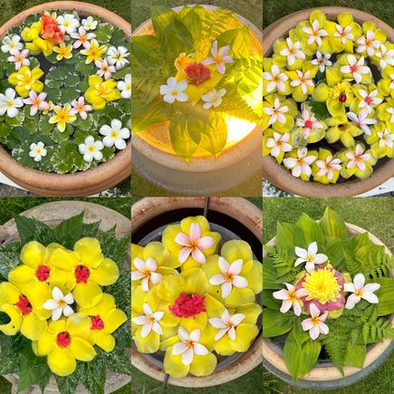 Flower arrangements in pots along walks