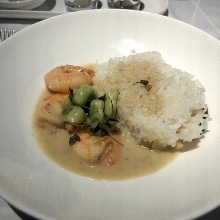 Main course from the 2nd meal : Thai prawn curry with edamame beans & jasmine rice - this was also a main course choice on the CW main menu for the same flight (portion size may have varied). 