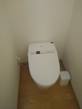 The loo is a separate small room.