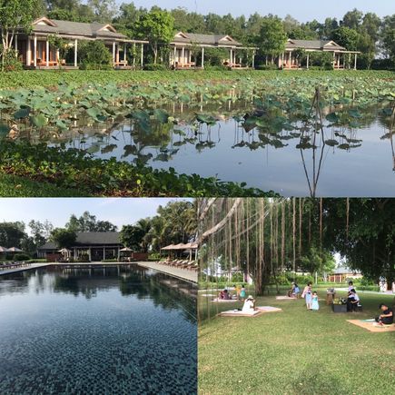 Rooms with lovely view of lotus pond, swimming pool with view to bar at far end, lawn where complimentary afternoon tea is served