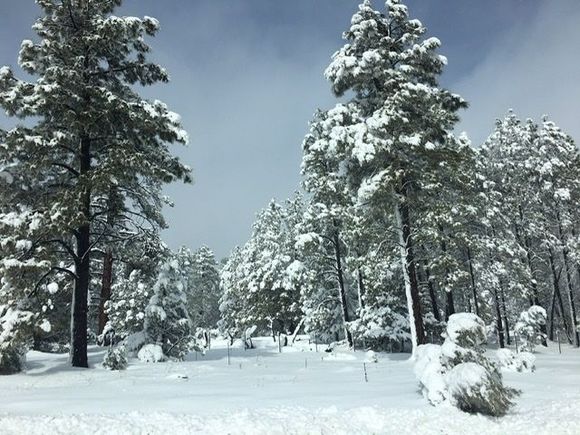 Near Payson
