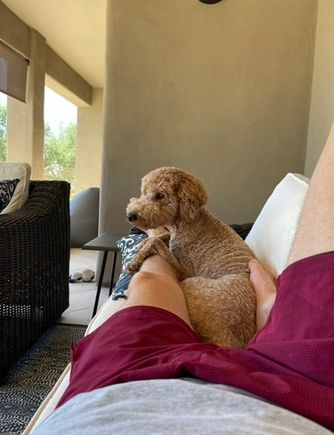 Poppy and I hanging in the outdoor living room. 
