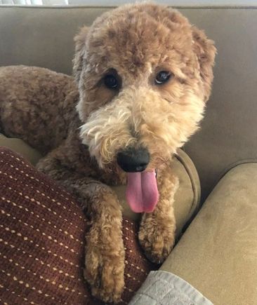 Poppy thanks everyone for the compliments!