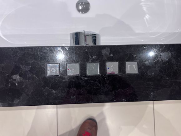 Both the shower and bathtub have these electronic controls. The bathtub is otherwise a normal tub (no jacuzzi function)