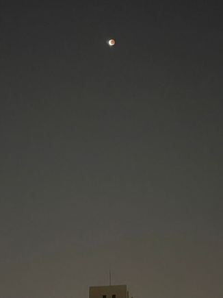 iPhone camera makes it look redder than it appeared with the naked eye