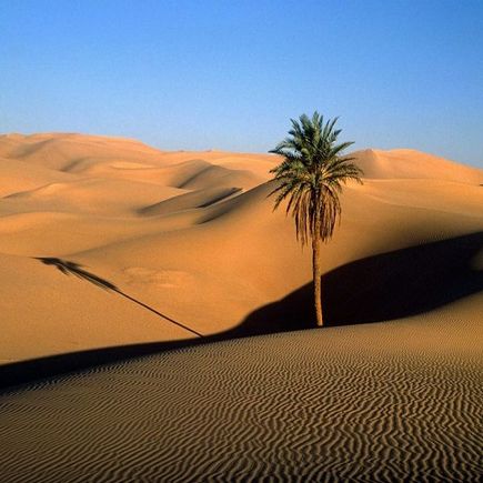 https://moroccopaths.com/