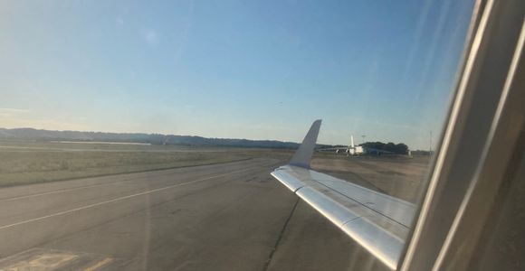 That is one Big Bird