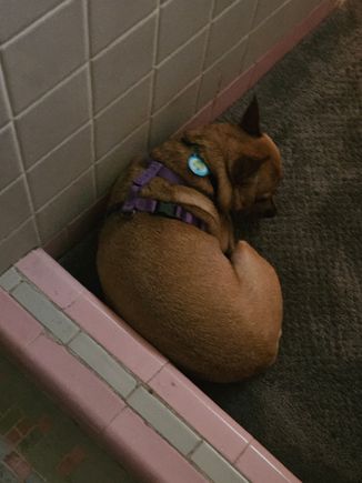 She was doing this after I posted
