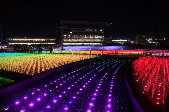 The colours moved towards you like a river- excellent. Grandstand in the distance