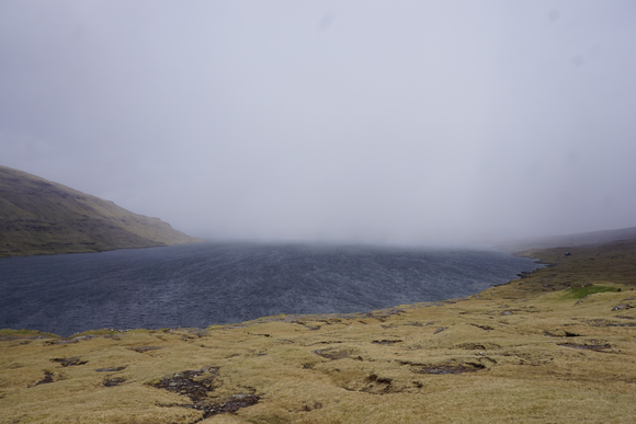 Whiteout on the lake