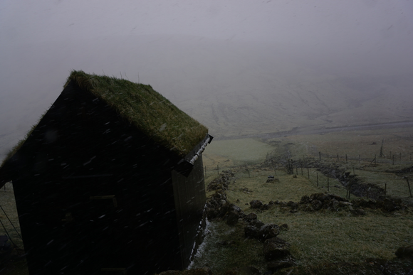It started snowing!